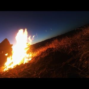 Meet your Posher, Austin